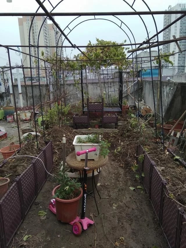 中國和德國屋頂花園發(fā)展對比