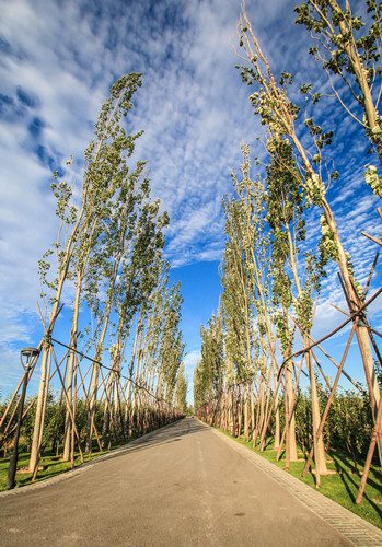 源樹作品:鴻坤·葡萄酒小鎮