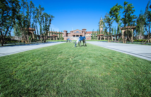 源樹作品:鴻坤·葡萄酒小鎮