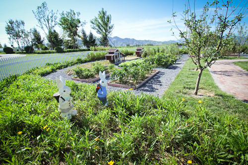 源樹作品:鴻坤·葡萄酒小鎮