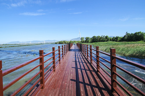 源樹作品:鴻坤·葡萄酒小鎮