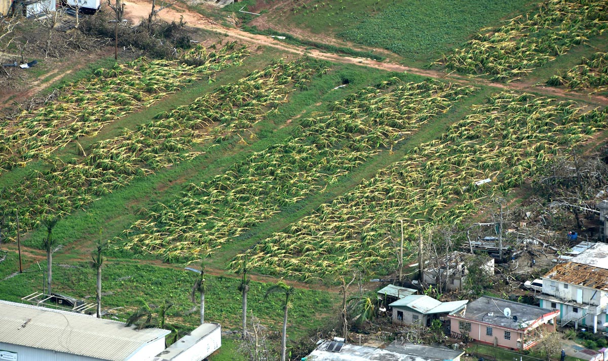 氣候變化和雨洪管理