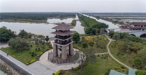 航拍廣州最大的濕地公園——南沙濕地公園