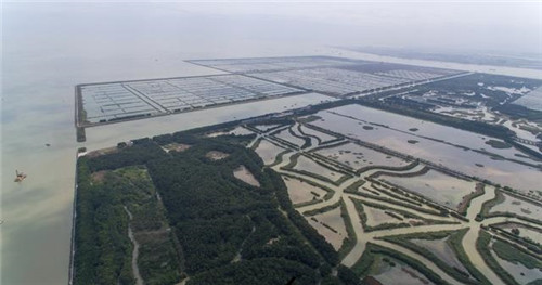 航拍廣州最大的濕地公園——南沙濕地公園