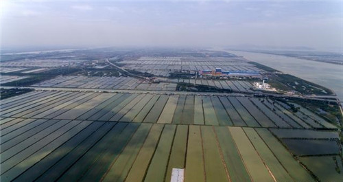 航拍廣州最大的濕地公園——南沙濕地公園