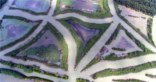 航拍廣州最大的濕地公園——南沙濕地公園