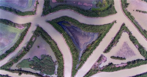 航拍廣州最大的濕地公園——南沙濕地公園