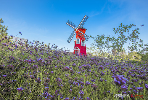 【源樹作品】地鐵上蓋公園——京投發展悅府公園景觀改造提升