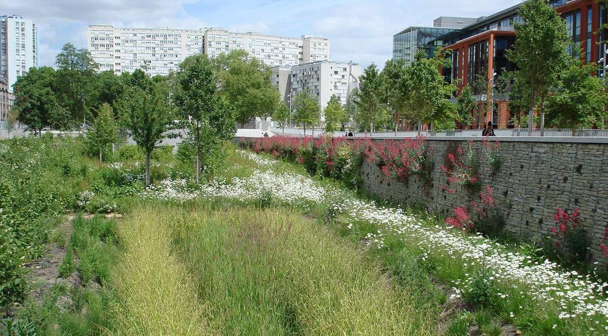 塞納河畔圣旺歷史中心的碼頭公園