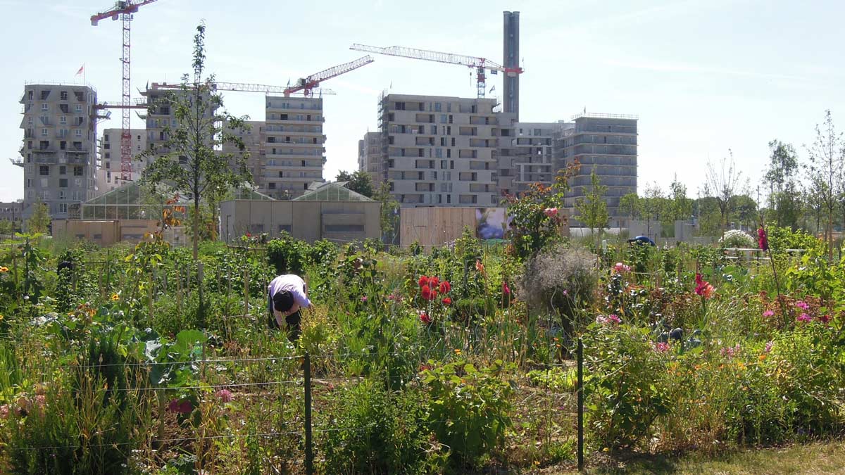 塞納河畔圣旺歷史中心的碼頭公園