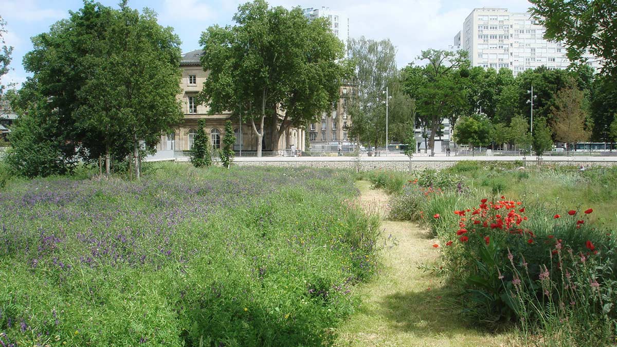 塞納河畔圣旺歷史中心的碼頭公園
