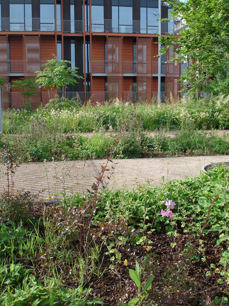塞納河畔圣旺歷史中心的碼頭公園