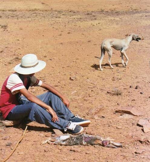氣候變化將在全球產生哪些影響？