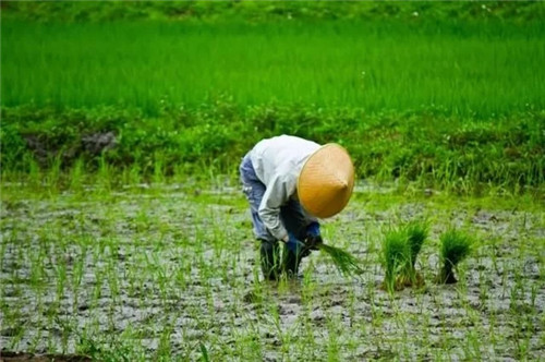 民宿，從“旅游+”到“+旅游”
