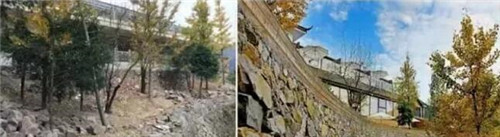 民宿與鄉村碰撞出的鄉愁，要不要嘗嘗看？