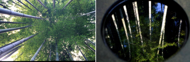 日本禪僧大師枡野俊明:追尋“心靈自由”的景觀空間