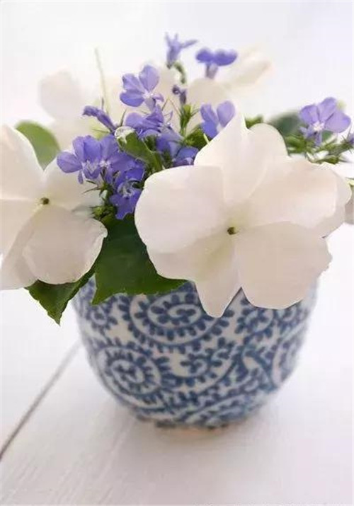 插花搭配的八大要點