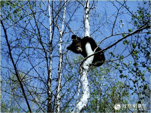 開化亮出生物多樣性調查雄厚“家底”