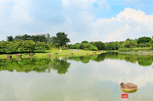 嶺南股份董事長尹洪衛首次完整揭秘創業史