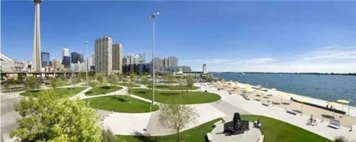 聊聊身邊的景觀草坪