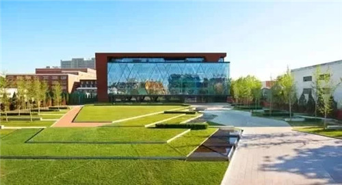 聊聊身邊的景觀草坪