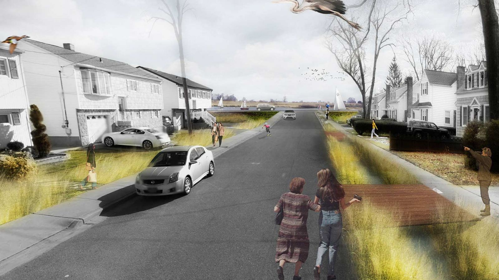 紐約南海岸Nassau縣景觀改造項(xiàng)目