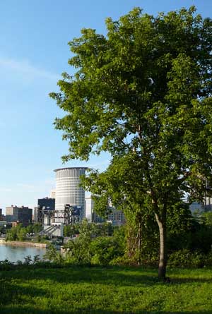 綠色基礎設施:一種形成城市景觀的途徑