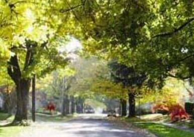 什么是綠色基礎(chǔ)設(shè)施?