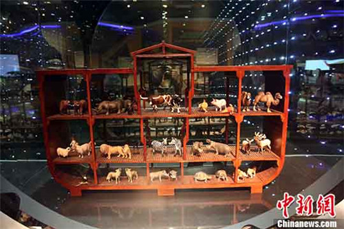 走進(jìn)香港主題公園挪亞方舟