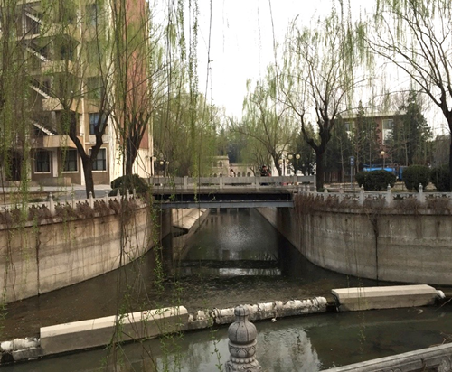 鄭曉笛：學生參與的校園景觀設計與教學