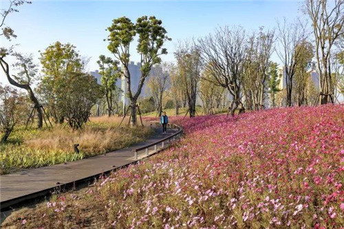 南通生態通廊：城市與自然交融的景觀飄帶