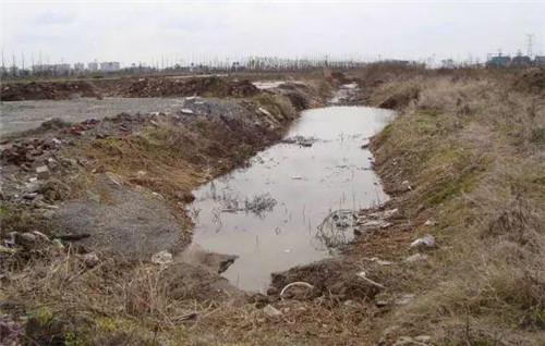 南通生態通廊：城市與自然交融的景觀飄帶