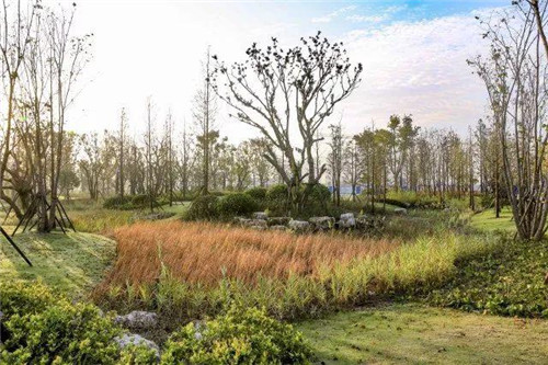 南通生態通廊：城市與自然交融的景觀飄帶