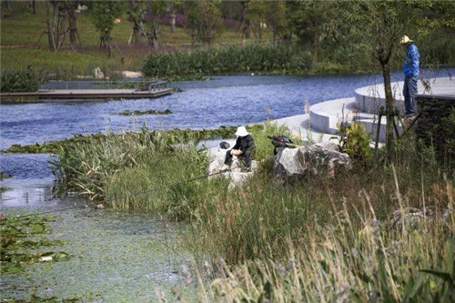 南通生態通廊：城市與自然交融的景觀飄帶