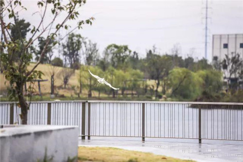 南通生態通廊：城市與自然交融的景觀飄帶