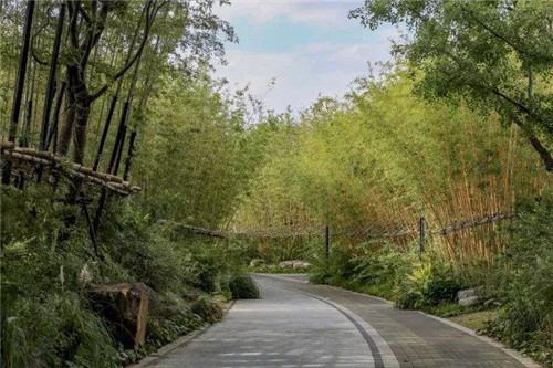 南通生態通廊：城市與自然交融的景觀飄帶