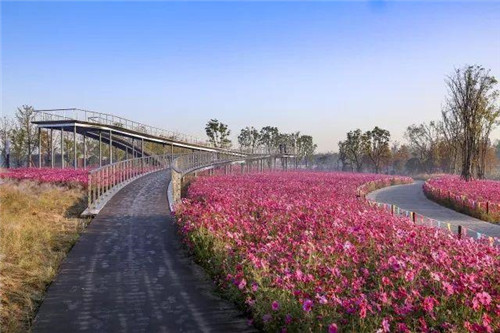 南通生態通廊：城市與自然交融的景觀飄帶