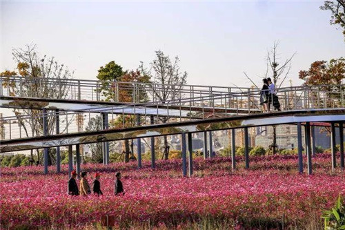 南通生態通廊：城市與自然交融的景觀飄帶