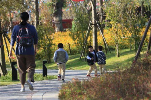 南通生態通廊：城市與自然交融的景觀飄帶