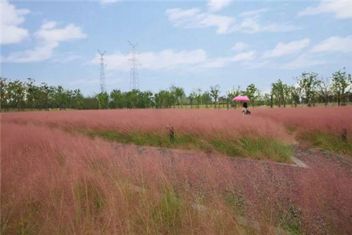 南通生態通廊：城市與自然交融的景觀飄帶