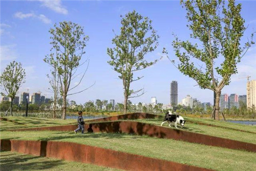 南通生態通廊：城市與自然交融的景觀飄帶