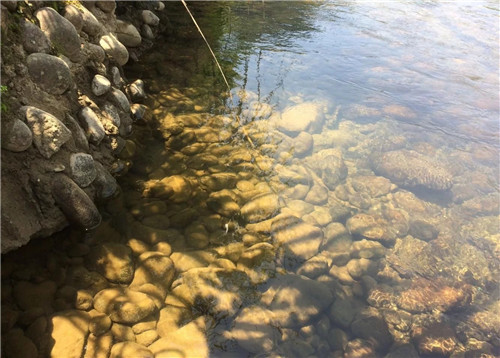 探訪世界文化與自然雙重遺產——武夷山