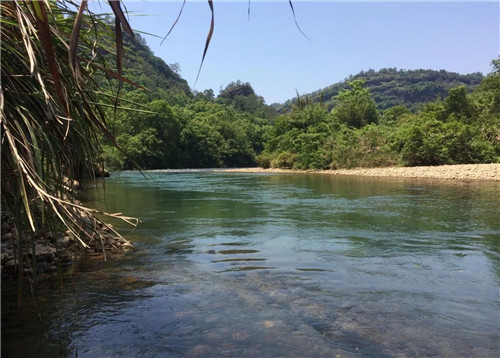探訪世界文化與自然雙重遺產——武夷山