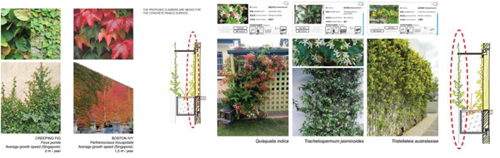 梁達民：城市規劃與建筑設計的關系