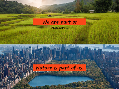 Yossapon Boonsom:為可持續(xù)的未來創(chuàng)造空間