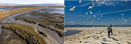 郭瓊瑩：宜居城市的戰略規劃——都市保護區系統之建置