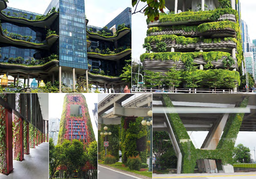 郭瓊瑩：宜居城市的戰略規劃——都市保護區系統之建置