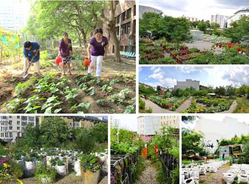 郭瓊瑩：宜居城市的戰略規劃——都市保護區系統之建置