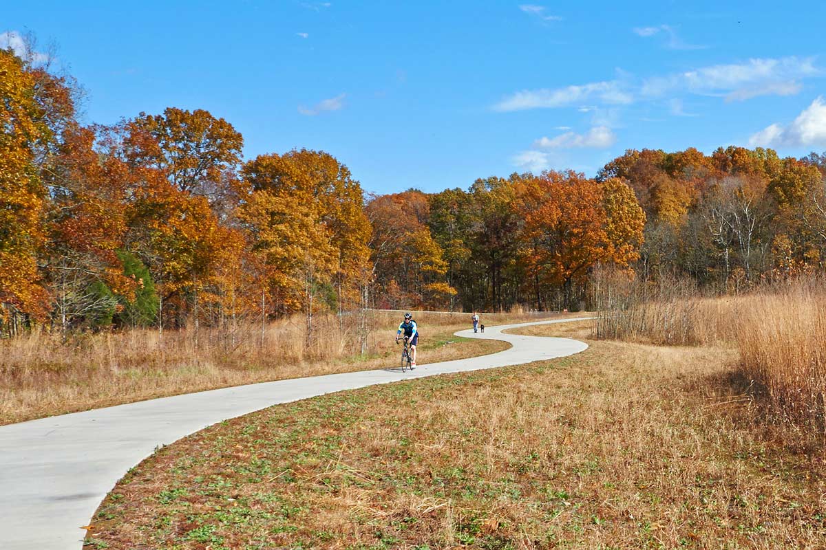 綠色基礎設施框架中的弗洛伊茲?？斯珗@