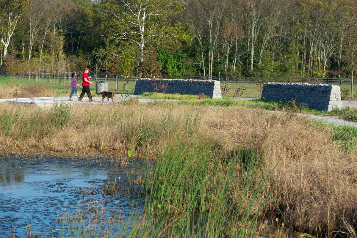 綠色基礎設施框架中的弗洛伊茲?？斯珗@